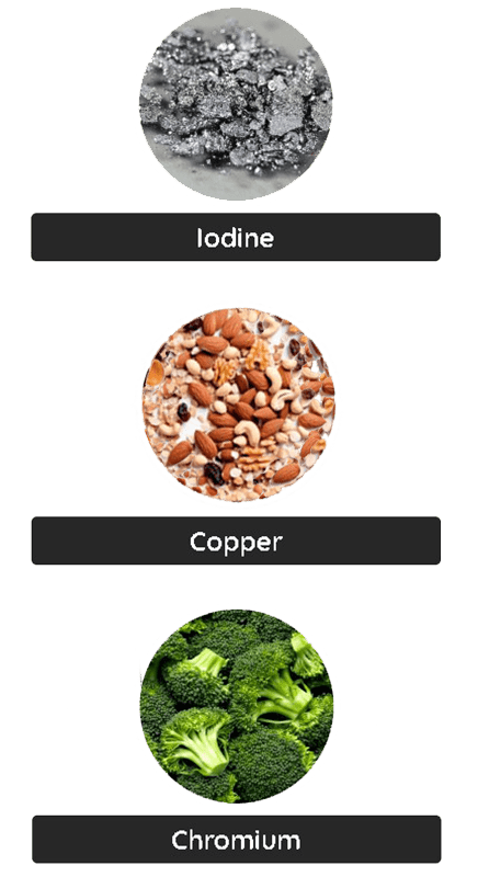 Denticore Supplements